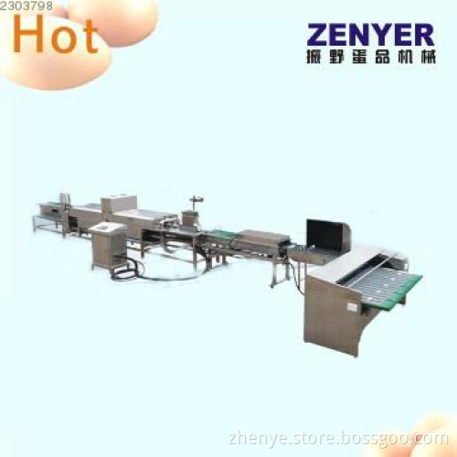 hot sale egg cleaning grading machine